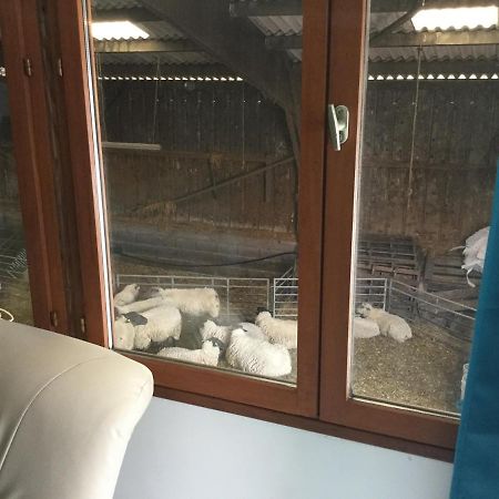 Le Loup Dans La Bergerie Bed & Breakfast Montmartin-sur-Mer Екстериор снимка